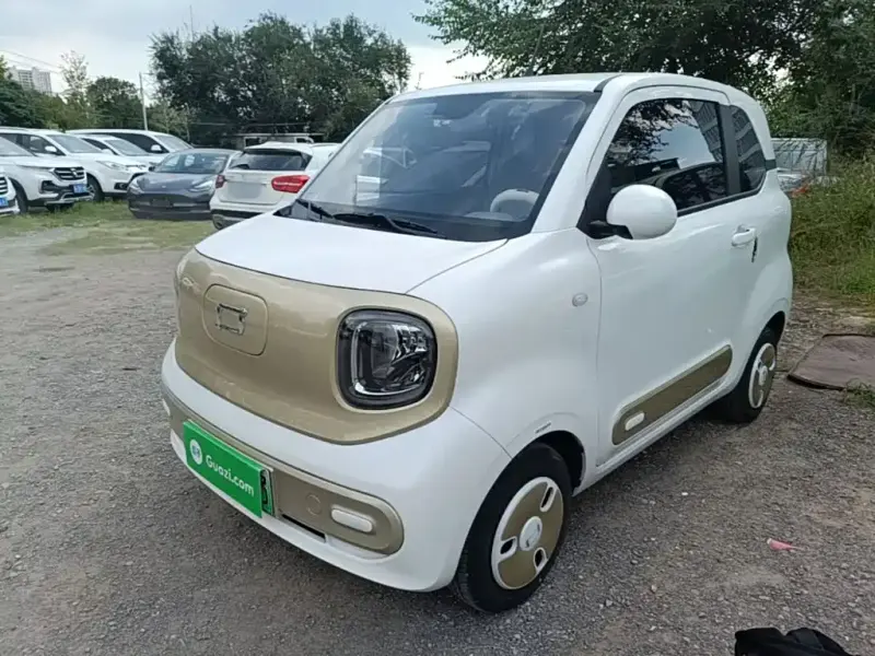 Bestune Pony, 2024