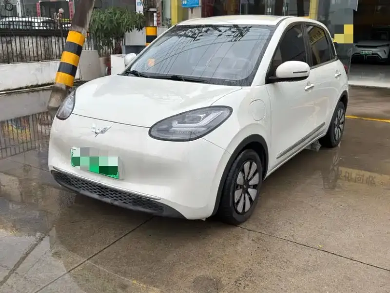 Wuling Bingo, 2023
