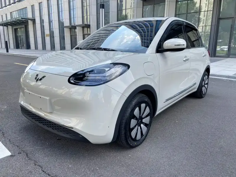 Wuling Bingo, 2024