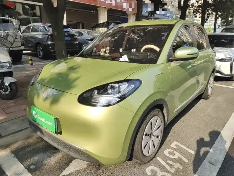 Wuling Bingo, 2024