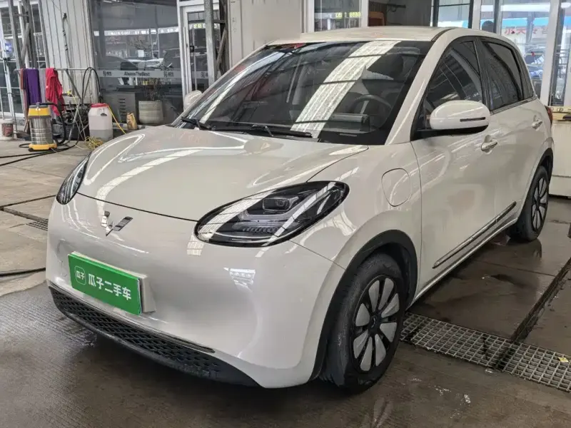 Wuling Bingo, 2024