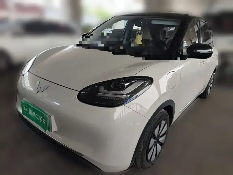 Wuling Bingo, 2023