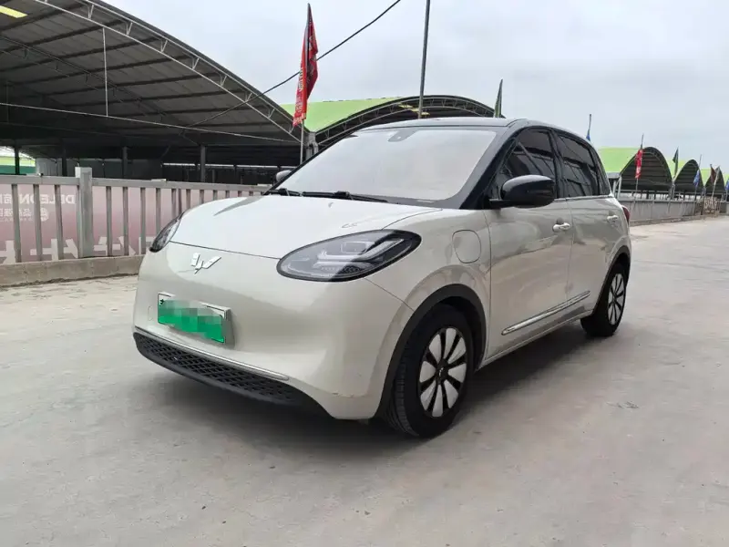 Wuling Bingo, 2023