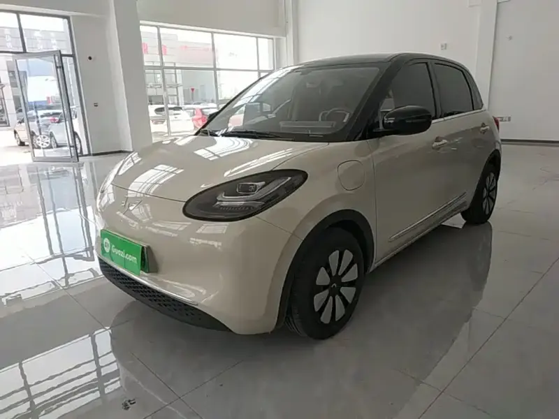 Wuling Bingo, 2024