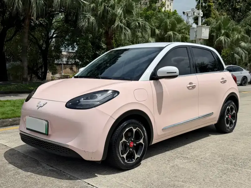Wuling Bingo, 2024