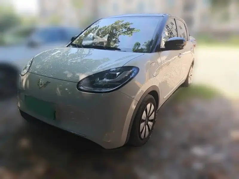 Wuling Bingo, 2025