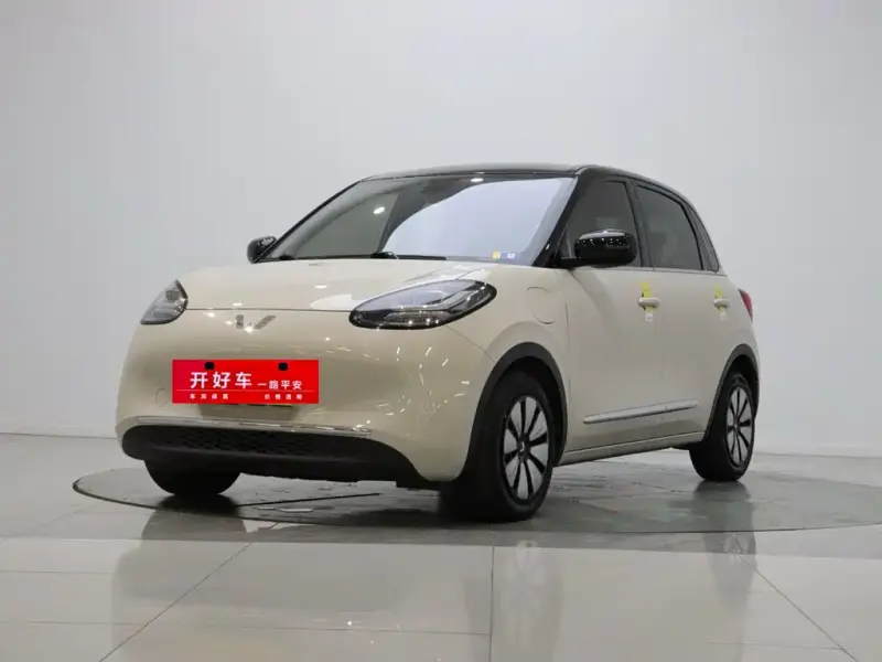Wuling Bingo, 2024