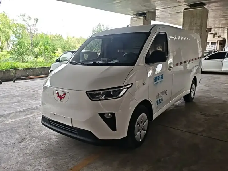 Wuling Yangguang, 2024