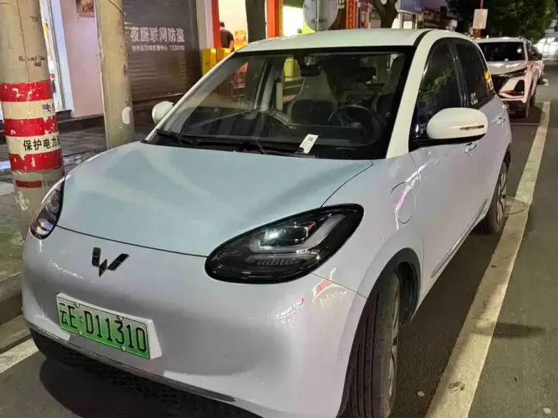 Wuling Bingo, 2024