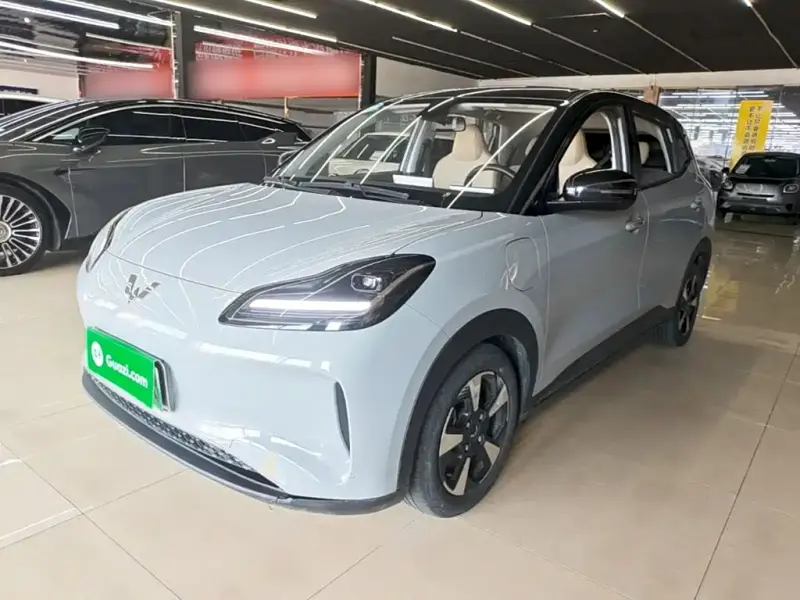 Wuling Bingo PLUS, 2024
