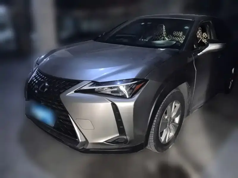 Lexus UX Lexus UX 2019 260h Explore · Cool Edition China V, 2019 — фото 1