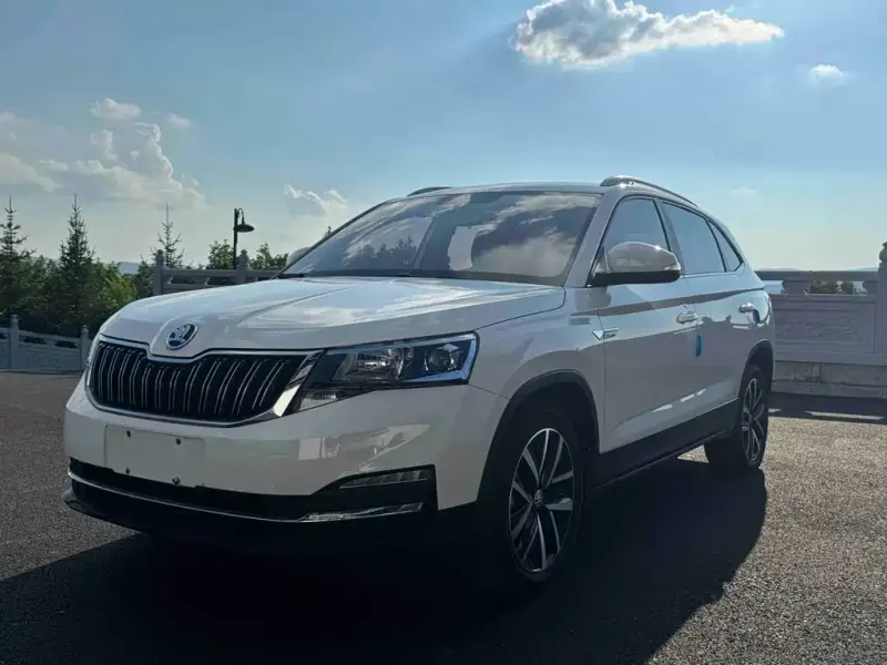 Skoda Kamiq, 2021