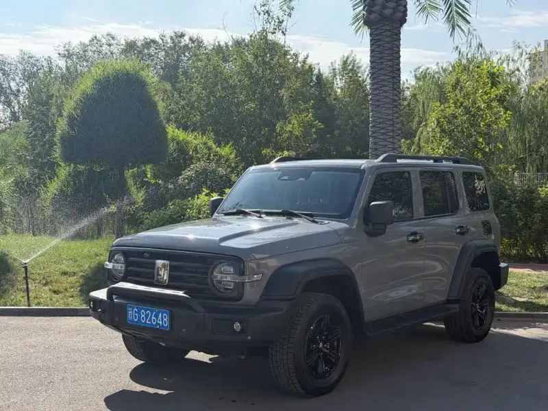 Tank 300, 2021
