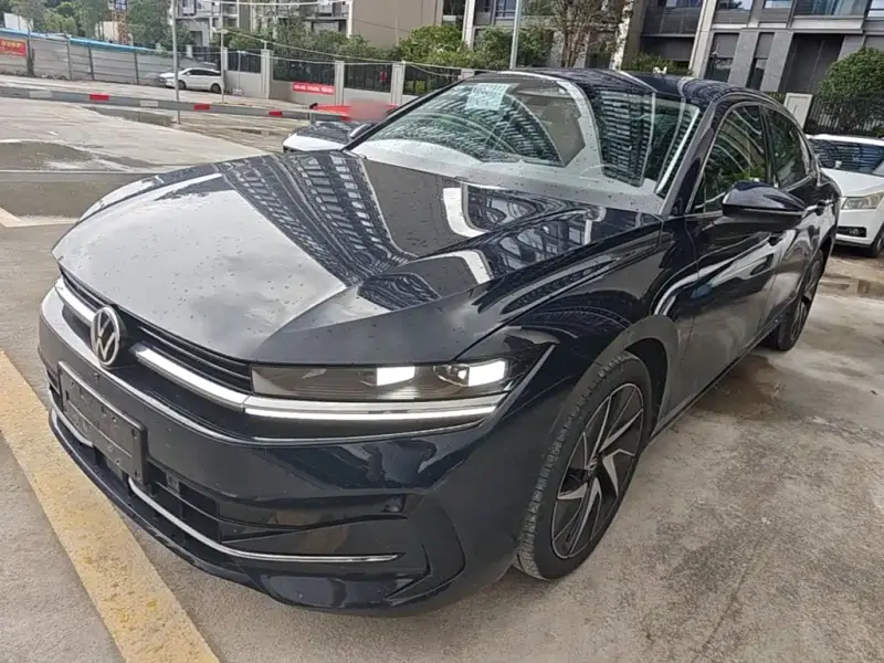 Volkswagen Magotan, 2024
