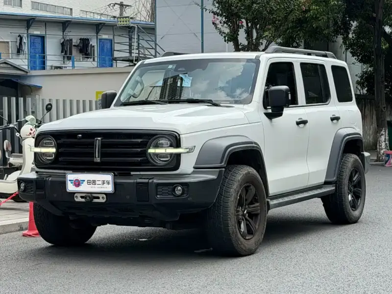 Tank 300, 2021