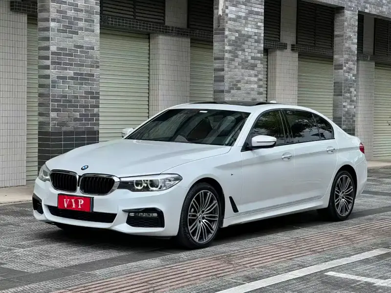 BMW 5 Series BMW 5 Series 2018 Facelift 530Li Leading Type M Sport Package, 2018 — фото 1