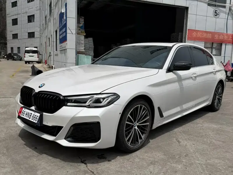 BMW 5 Series, 2019