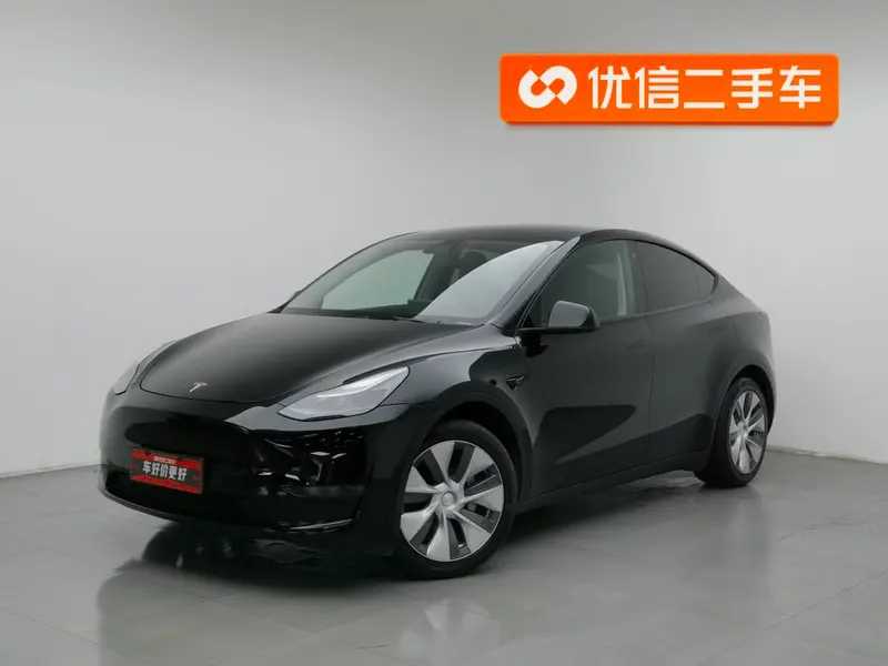 Tesla Model Y Standard Range Edition, 2021 — фото 1