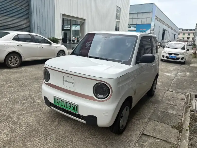 Galaxy Panda, 2025
