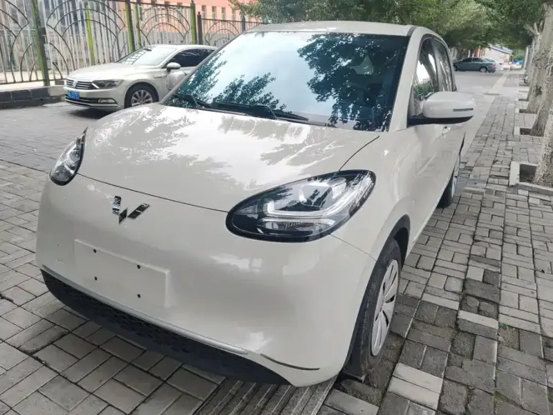 Wuling Bingo, 2023