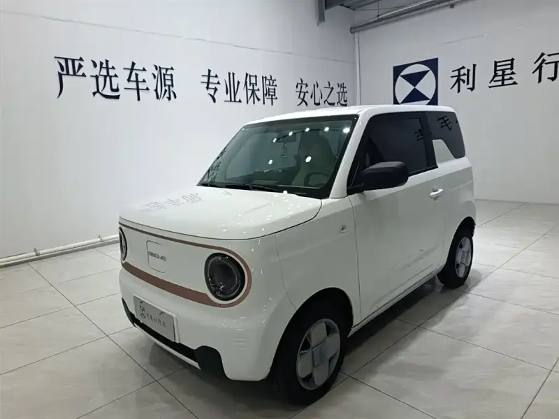 Galaxy Panda, 2024