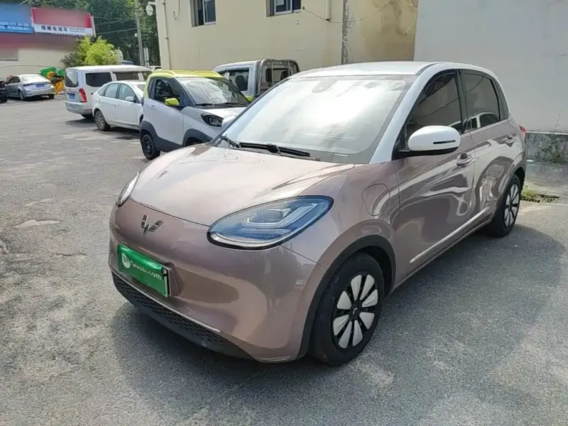 Wuling Bingo, 2023