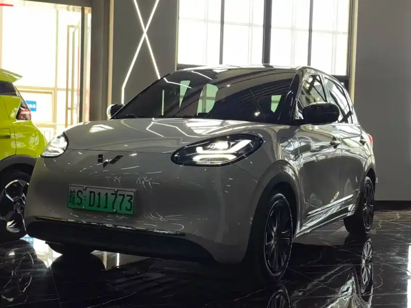 Wuling Bingo, 2023