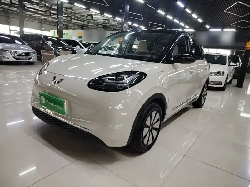 Wuling Bingo, 2024