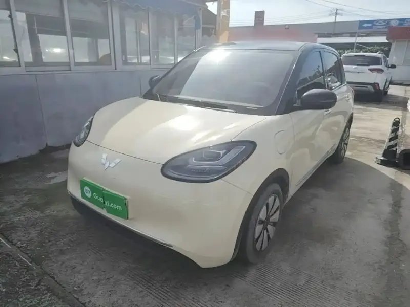 Wuling Bingo, 2025