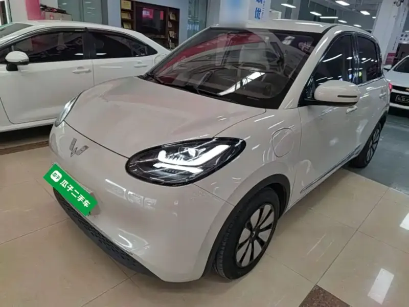 Wuling Bingo, 2024