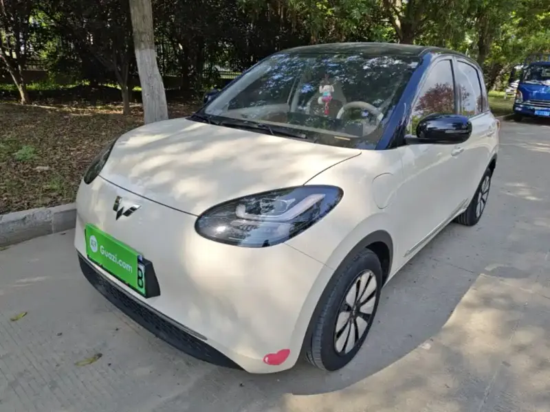 Wuling Bingo, 2025