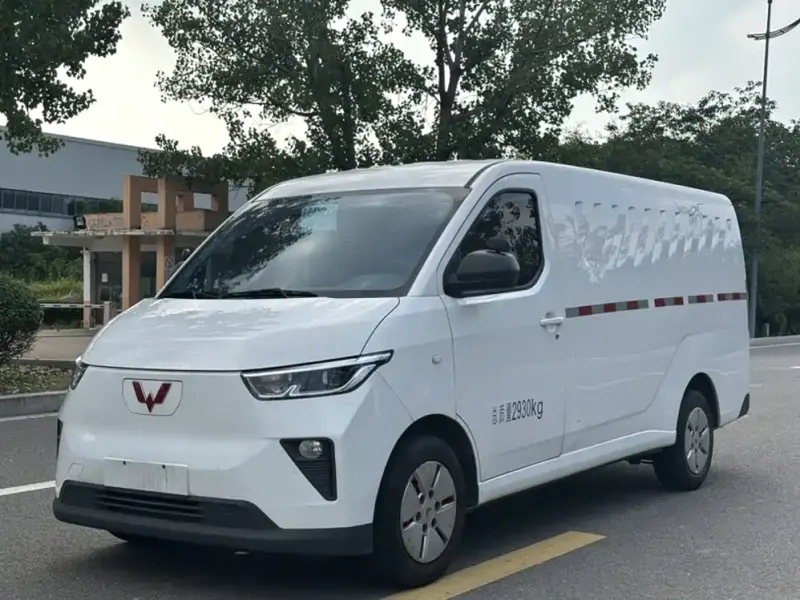 Wuling Yangguang, 2024