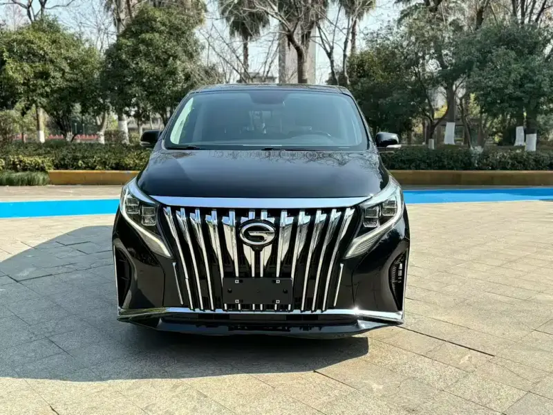 GAC Motor Trumpchi M8, 2022