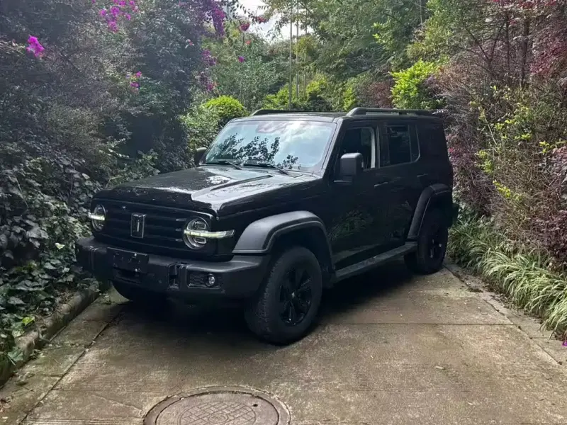 Tank 300, 2021