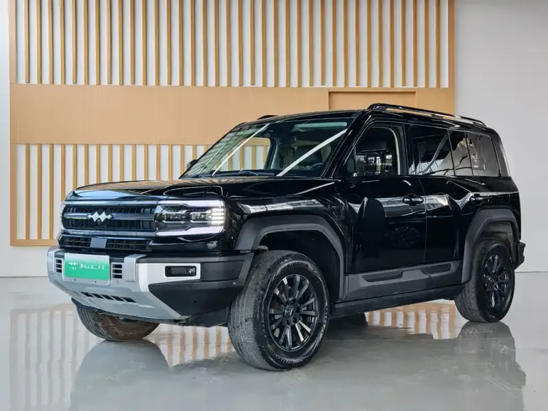Fang Cheng Bao Leopard 5, 2024