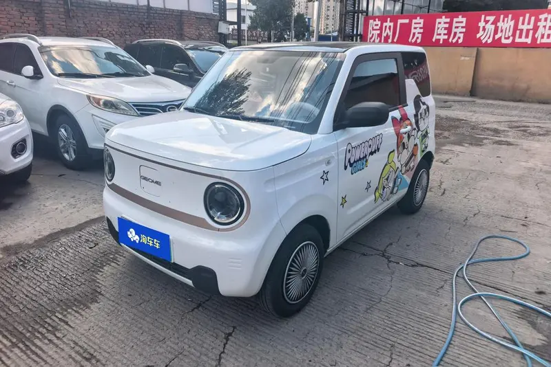 Galaxy Panda, 2024