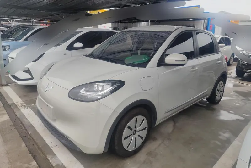 Wuling Bingo, 2023