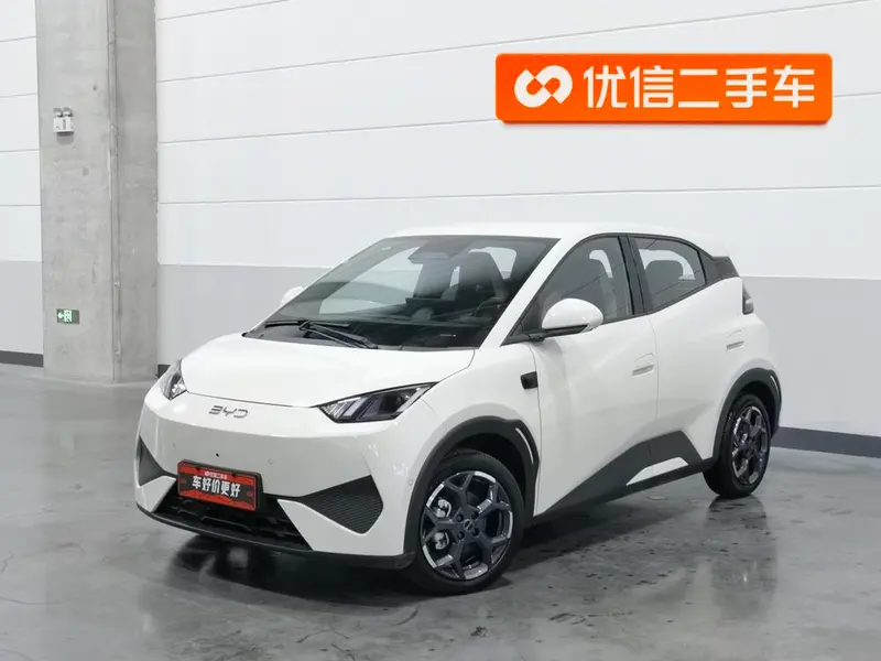 BYD Seagull, 2025