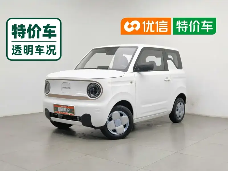 Galaxy Panda, 2024