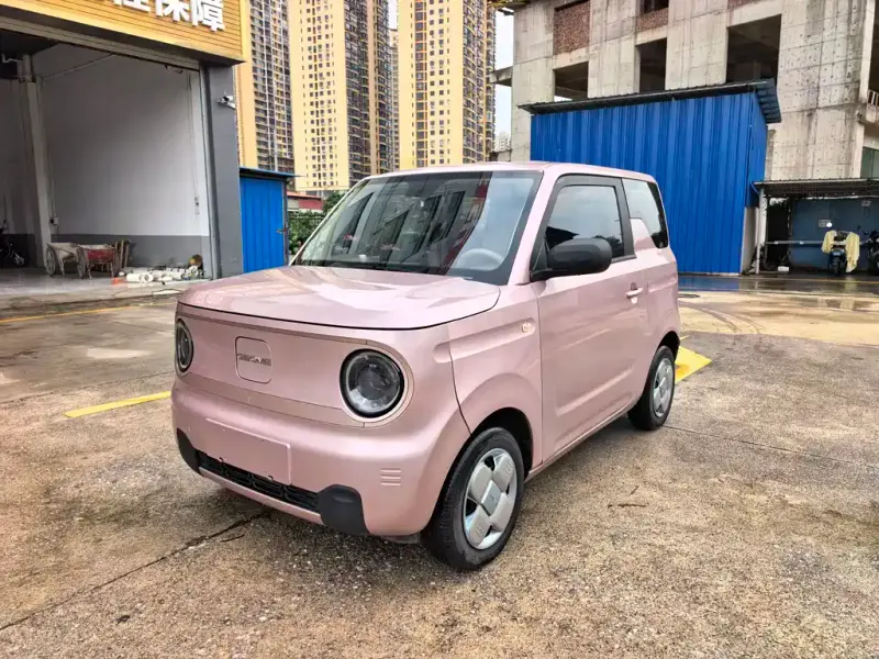 Galaxy Panda, 2024
