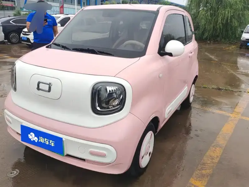 Bestune Pony, 2024