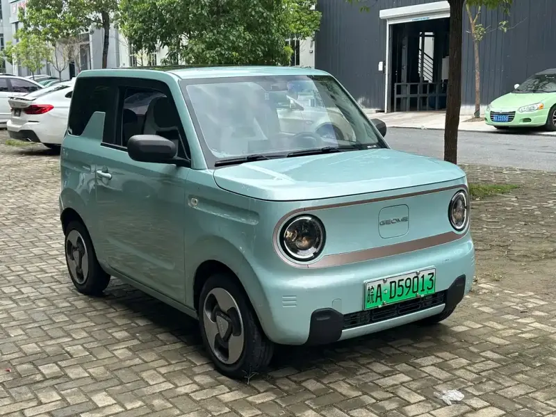 Galaxy Panda, 2023
