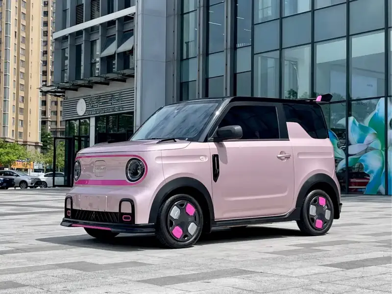 Galaxy Panda, 2025