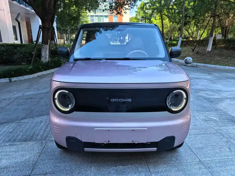 Galaxy Panda, 2023