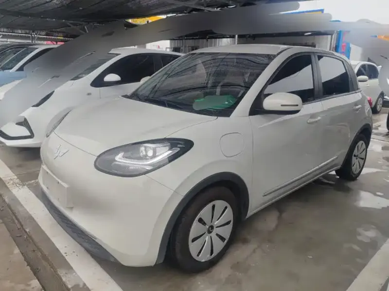 Wuling Bingo, 2023