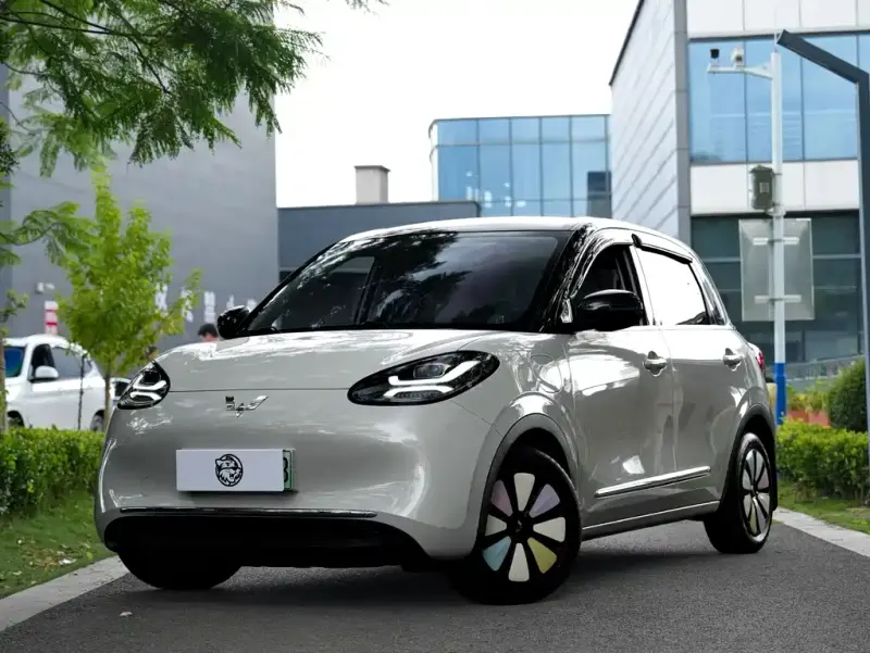 Wuling Bingo, 2025