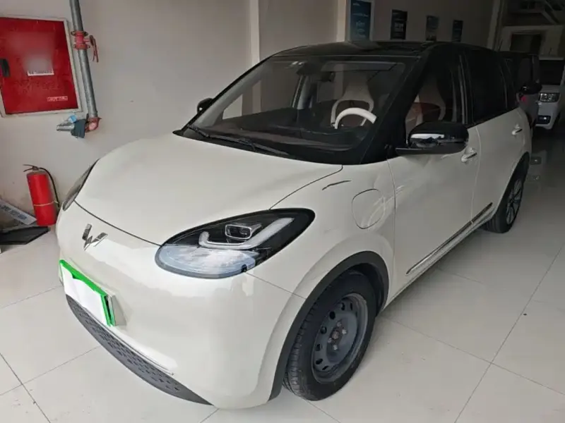 Wuling Bingo, 2023