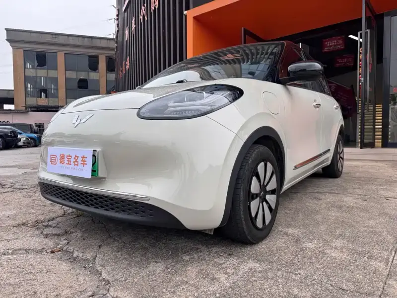 Wuling Bingo, 2025