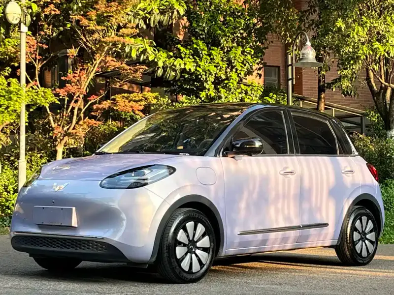Wuling Bingo, 2025