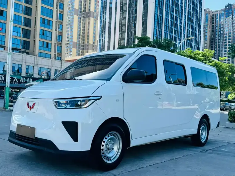Wuling Yangguang, 2024
